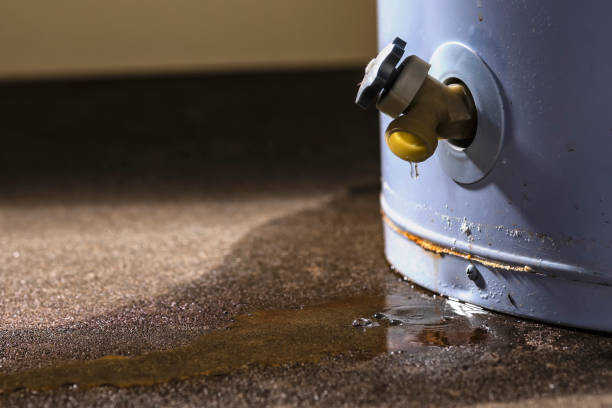Best Residential water damage restoration  in Wayne City, IL