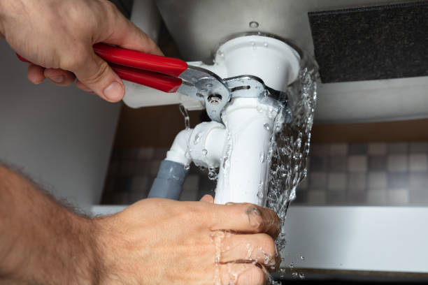 Best Flood damage cleanup  in Wayne City, IL