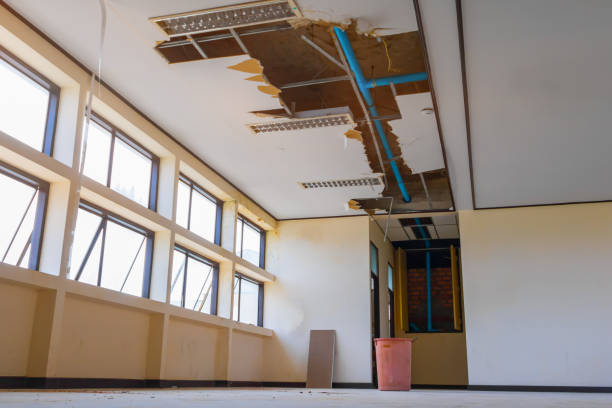 Professional Water damage restoration in Wayne City, IL