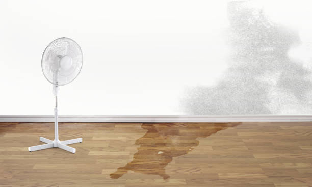 Best Sewage cleanup and water damage restoration  in Wayne City, IL