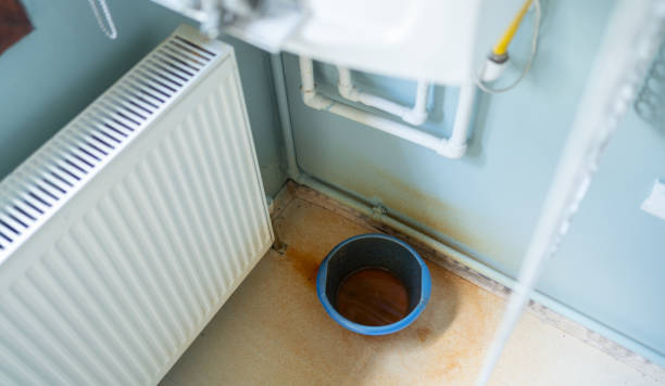 Best Carpet water damage restoration  in Wayne City, IL