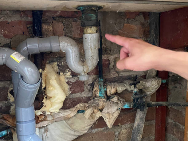 Best Fire Damage Restoration  in Wayne City, IL