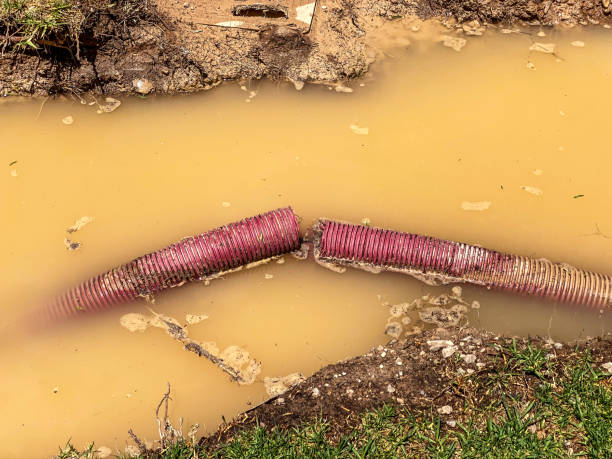 Best Emergency water damage restoration  in Wayne City, IL