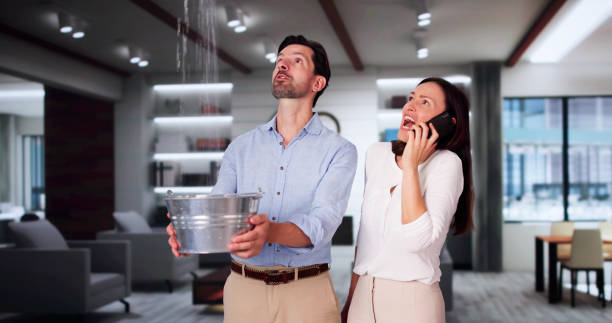 Best Emergency water extraction  in Wayne City, IL
